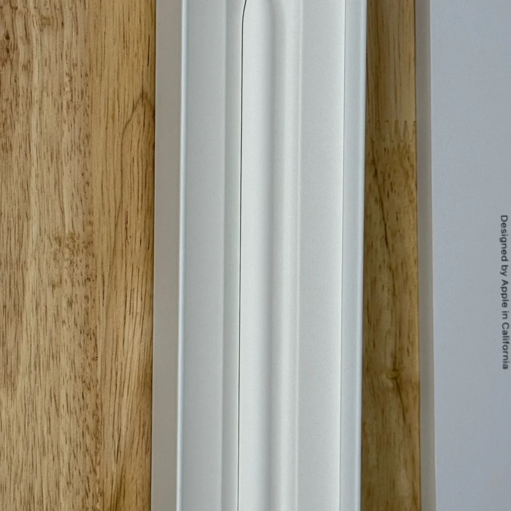 Apple Pencil in Elegant White NIB
